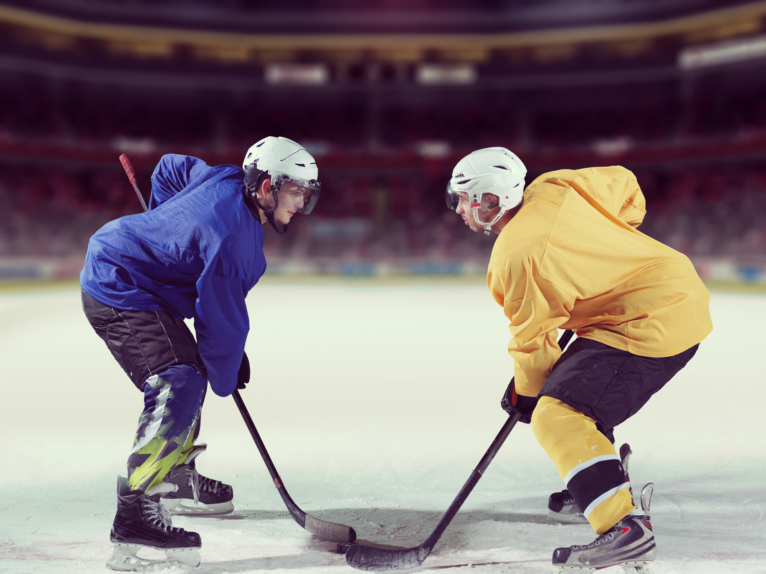 Wacky hockey facts a successful business should know